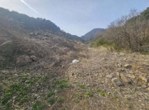 물건 사진 18