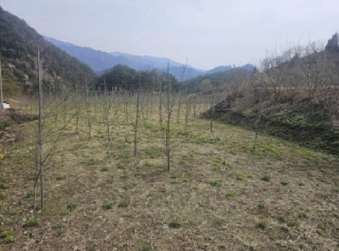 물건 사진 14