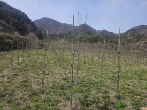 물건 사진 20