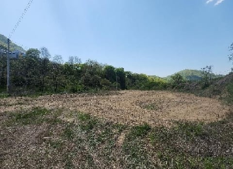 물건 사진 1