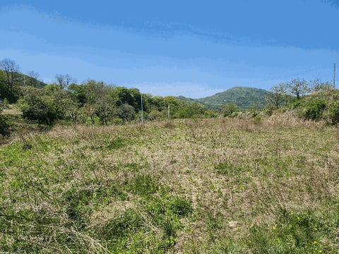 물건 사진 11