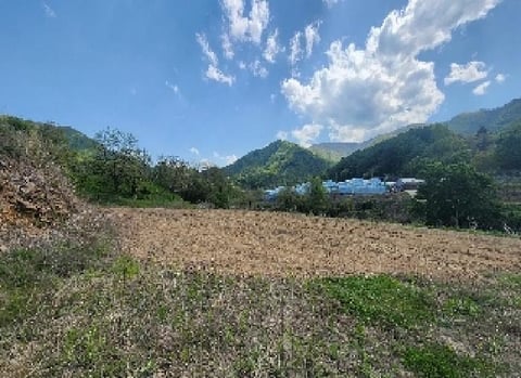 물건 사진 5