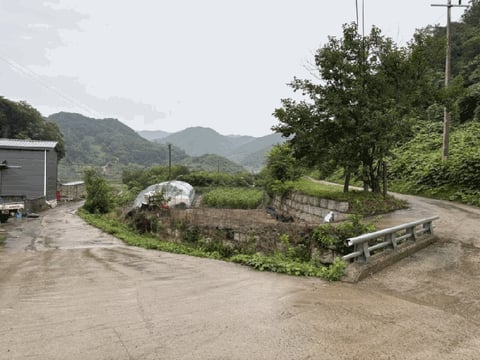 물건 사진 32