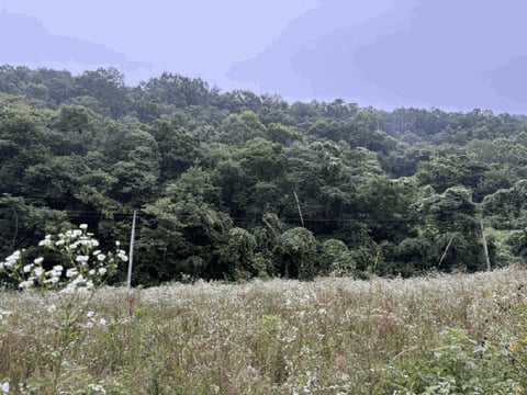 물건 사진 35