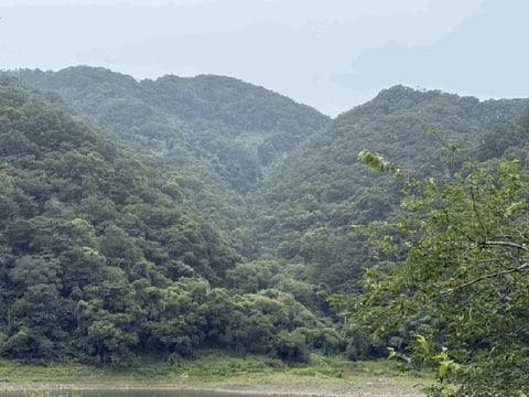 물건 사진 34