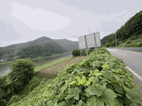 물건 사진 39
