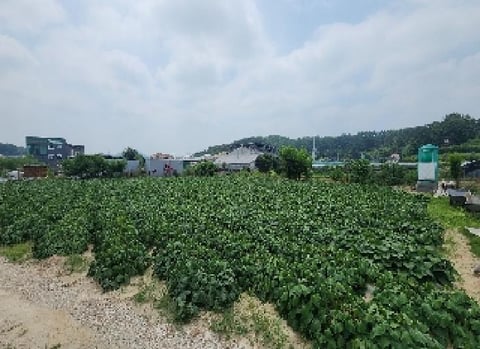 물건 사진 8