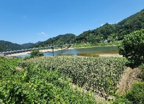 물건 사진 2