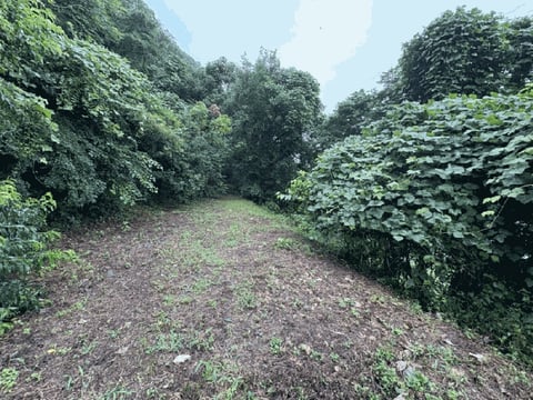 물건 사진 37