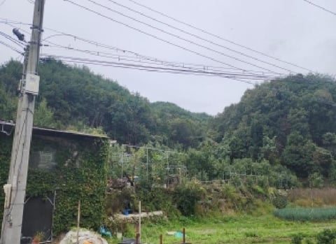 물건 사진 6