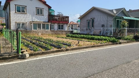 물건 사진 19