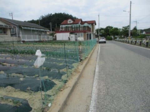 물건 사진 8