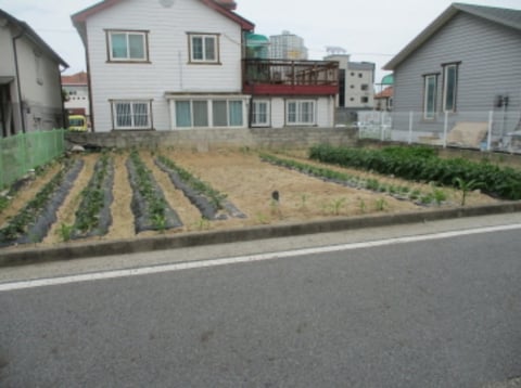 물건 사진 14