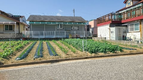 물건 사진 17