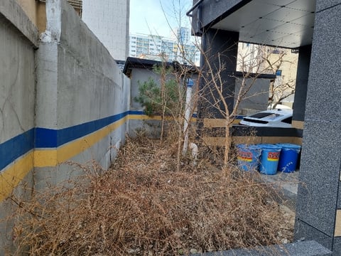 물건 사진 41