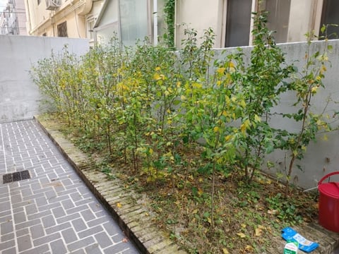 물건 사진 36