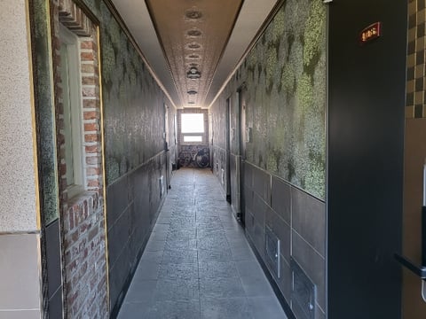 물건 사진 55
