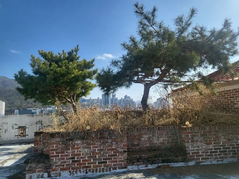 물건 사진 57