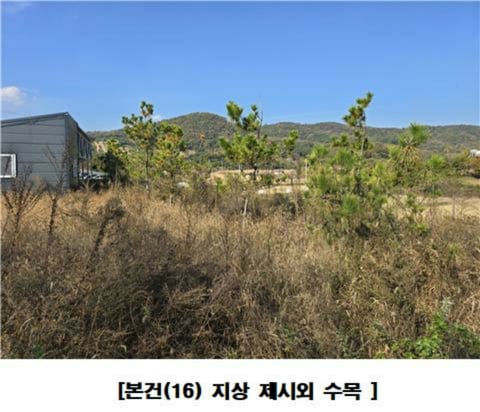 물건 사진 108
