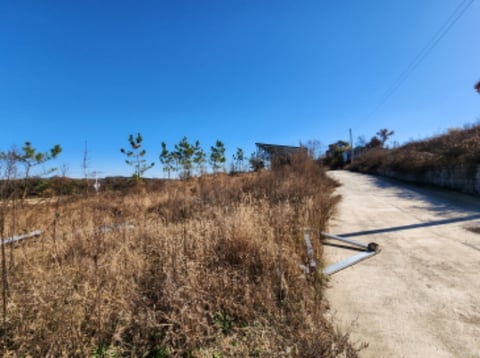 물건 사진 55