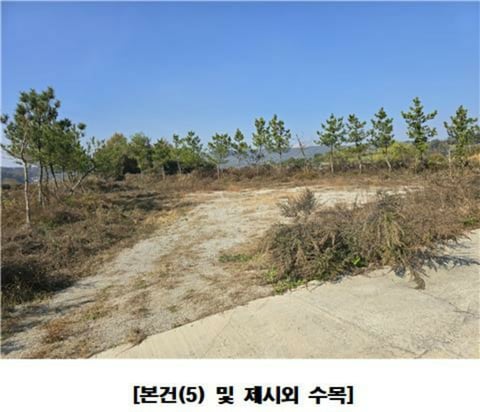 물건 사진 89