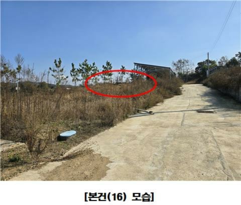 물건 사진 92