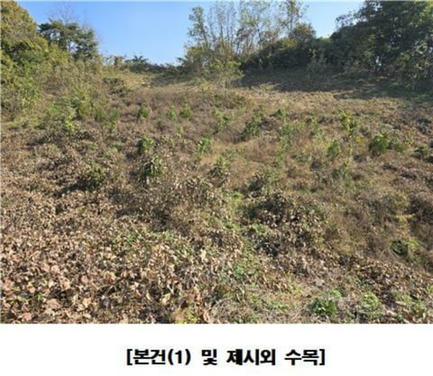 물건 사진 98