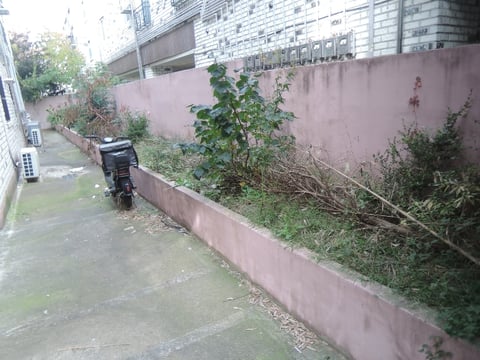 물건 사진 38