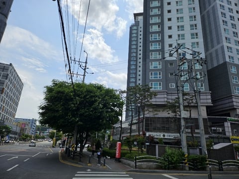 물건 사진 13