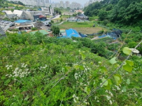 물건 사진 46
