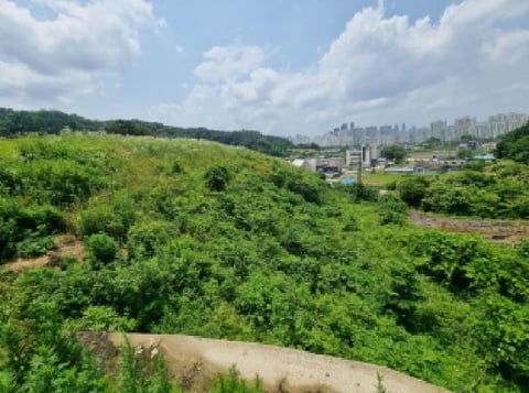 물건 사진 51
