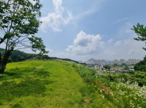 물건 사진 54