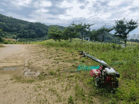 물건 사진 62