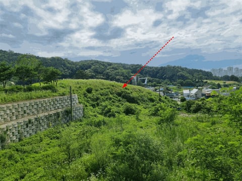 물건 사진 64