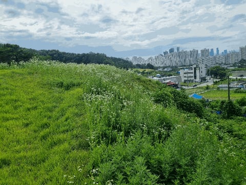 물건 사진 65