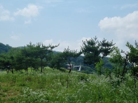물건 사진 28