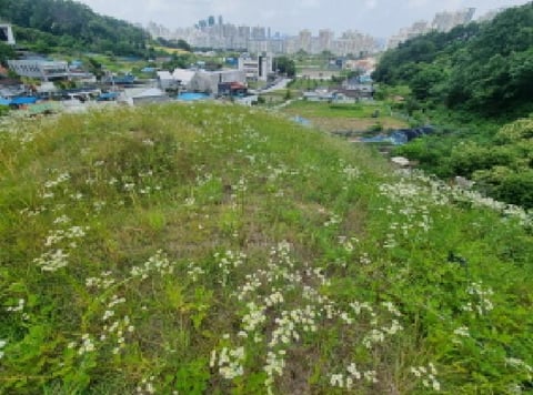 물건 사진 33