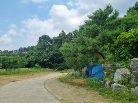 물건 사진 43
