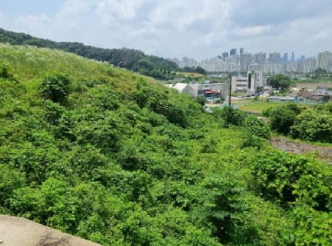 물건 사진 50
