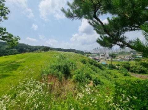 물건 사진 53