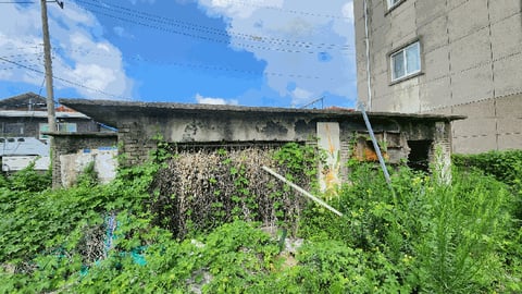 물건 사진 16