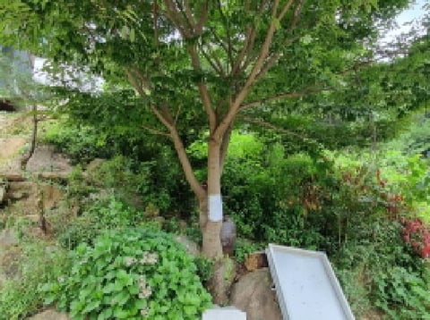 물건 사진 17