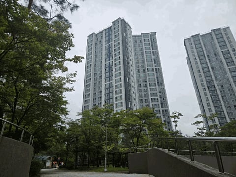 물건 사진 13