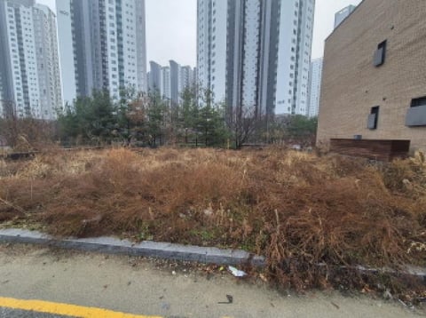 물건 사진 2