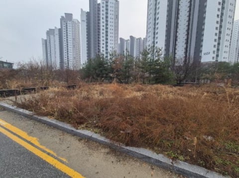 물건 사진 3