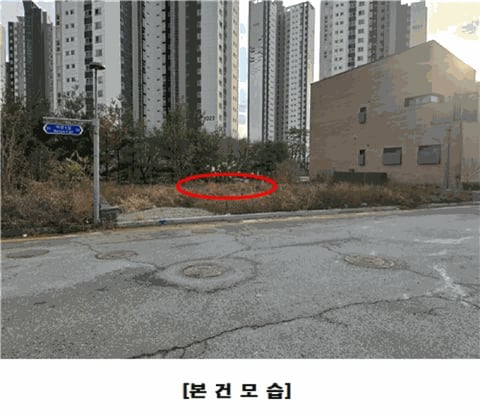 물건 사진 8