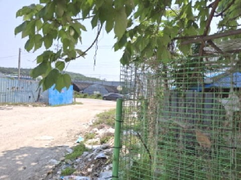 물건 사진 14