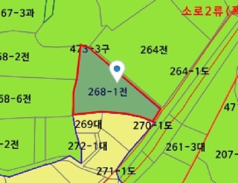 물건 사진 21