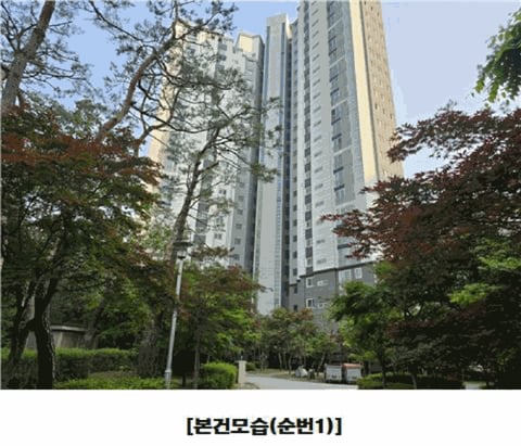 물건 사진 31