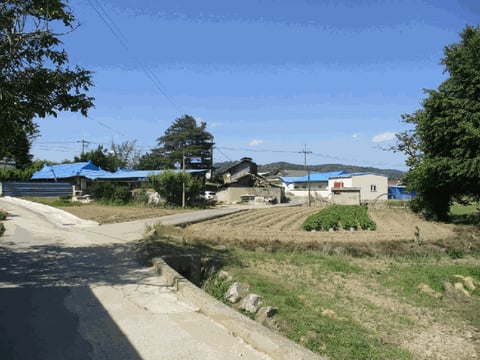 물건 사진 8